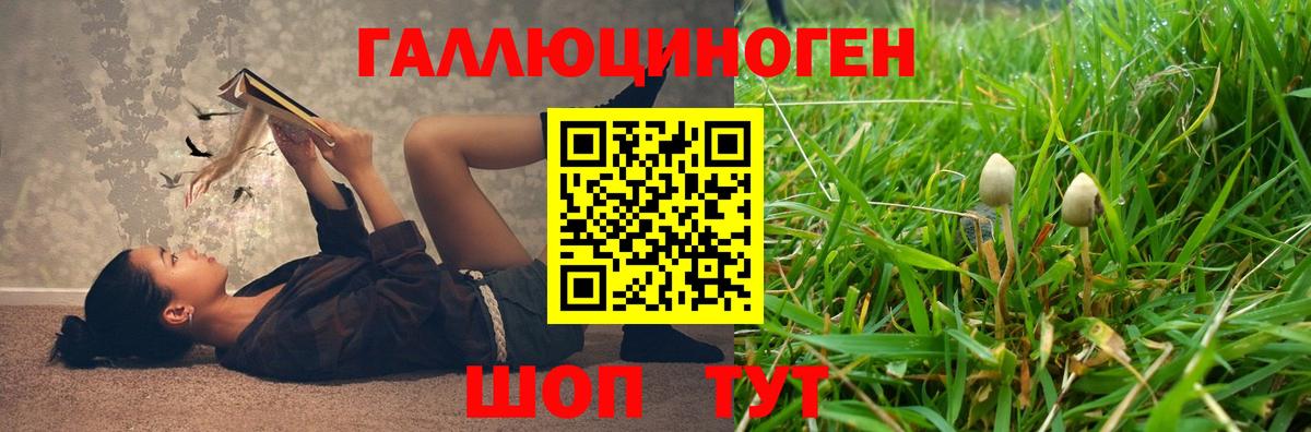 Псилоцибиновые грибы GOLDEN TEACHER  Псилоцибиновые грибы MAGIC MUSHROOMS  Вход с VPN  Топки 